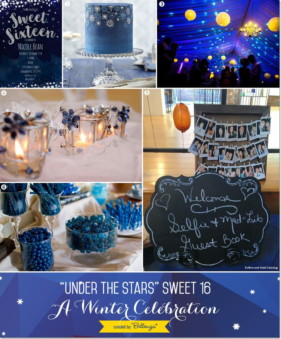Summer Sweet 16 Party Ideas
 Under the Stars Sweet 16 Winter Party Theme