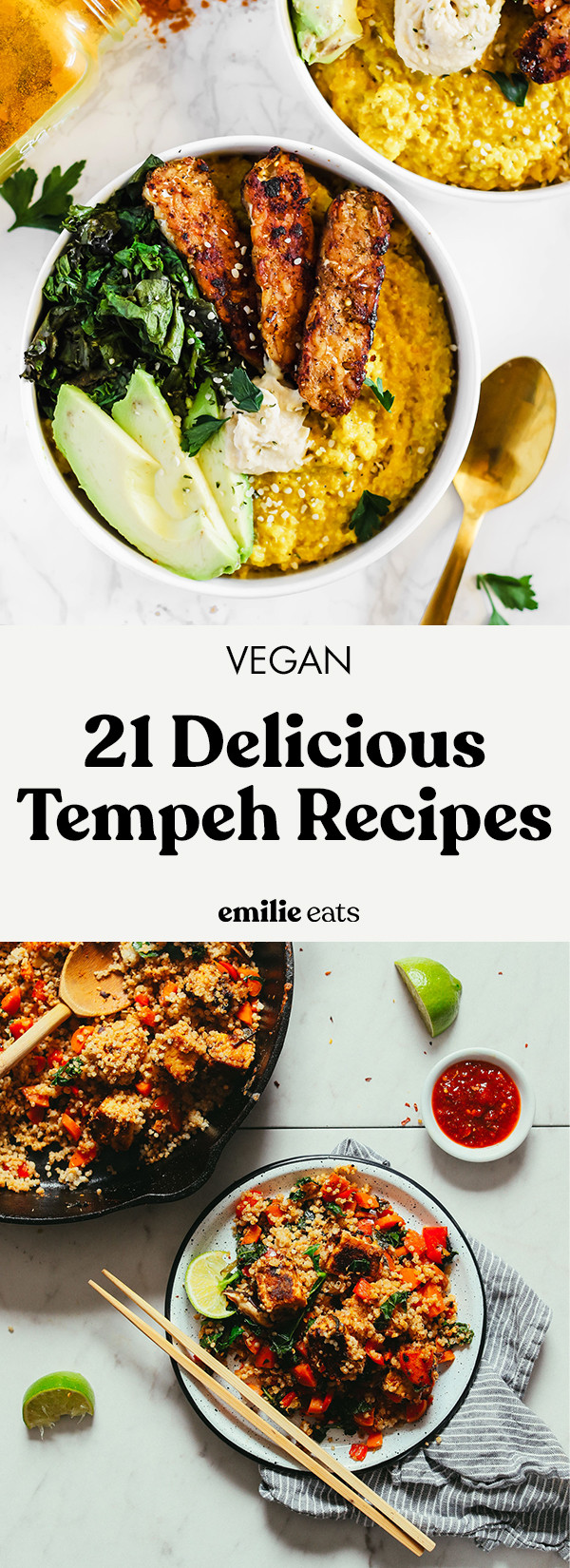 Tempeh Recipes Vegan
 21 Delicious Vegan Tempeh Recipes