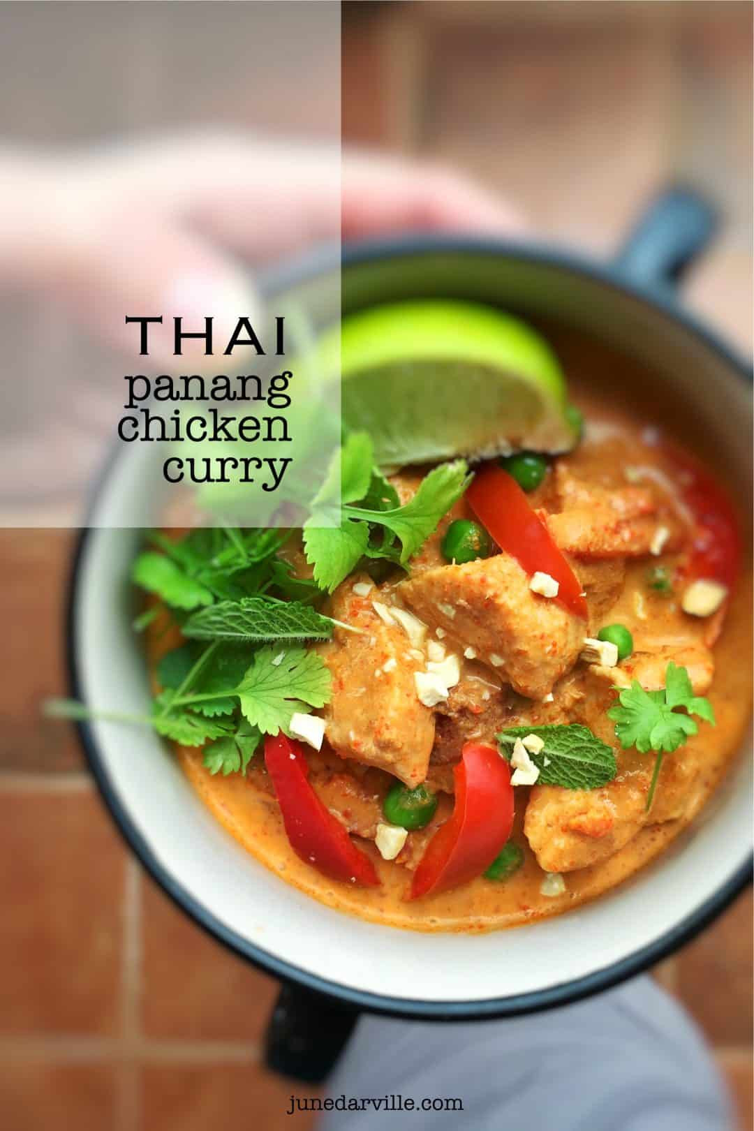 Thai Panang Curry Recipes
 Panang Curry Recipe with Chicken