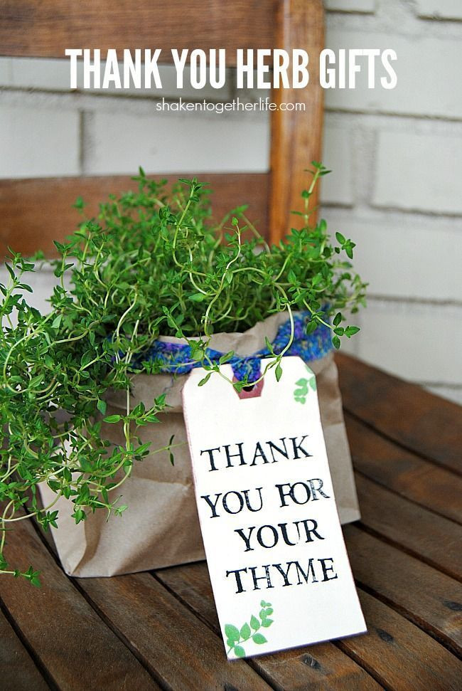 Thank You Gift Ideas For Neighbors
 7 DIY Gifts for Your Neighbor