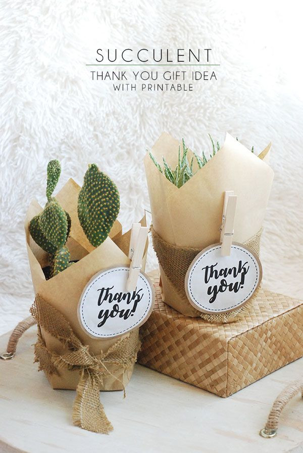 Thank You Token Gift Ideas
 Succulent Thank You Gift Idea With Free Printable Tag
