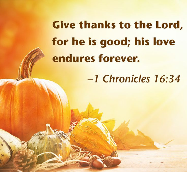 Thanksgiving 2017 Quotes
 Happy Thanksgiving Quotes 2017