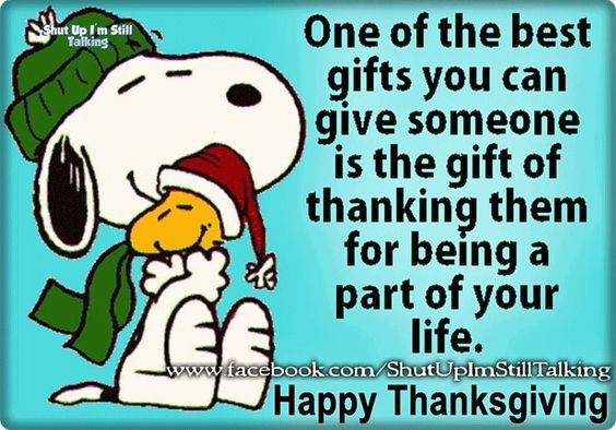 Thanksgiving Quotes Charlie Brown
 Friendship Valentines and Chang e 3 on Pinterest