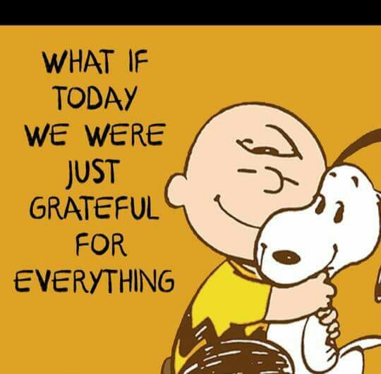 Thanksgiving Quotes Charlie Brown
 Be grateful for everything