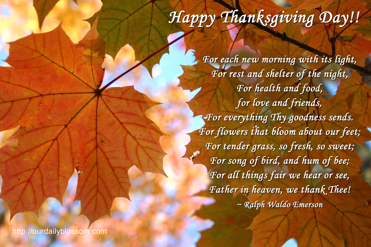 Thanksgiving Quotes Mom
 Happy Thanksgiving from Copperfield Hill Copperfield