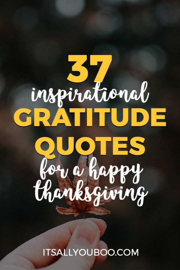 Thanksgiving Quotes Twitter
 Blog