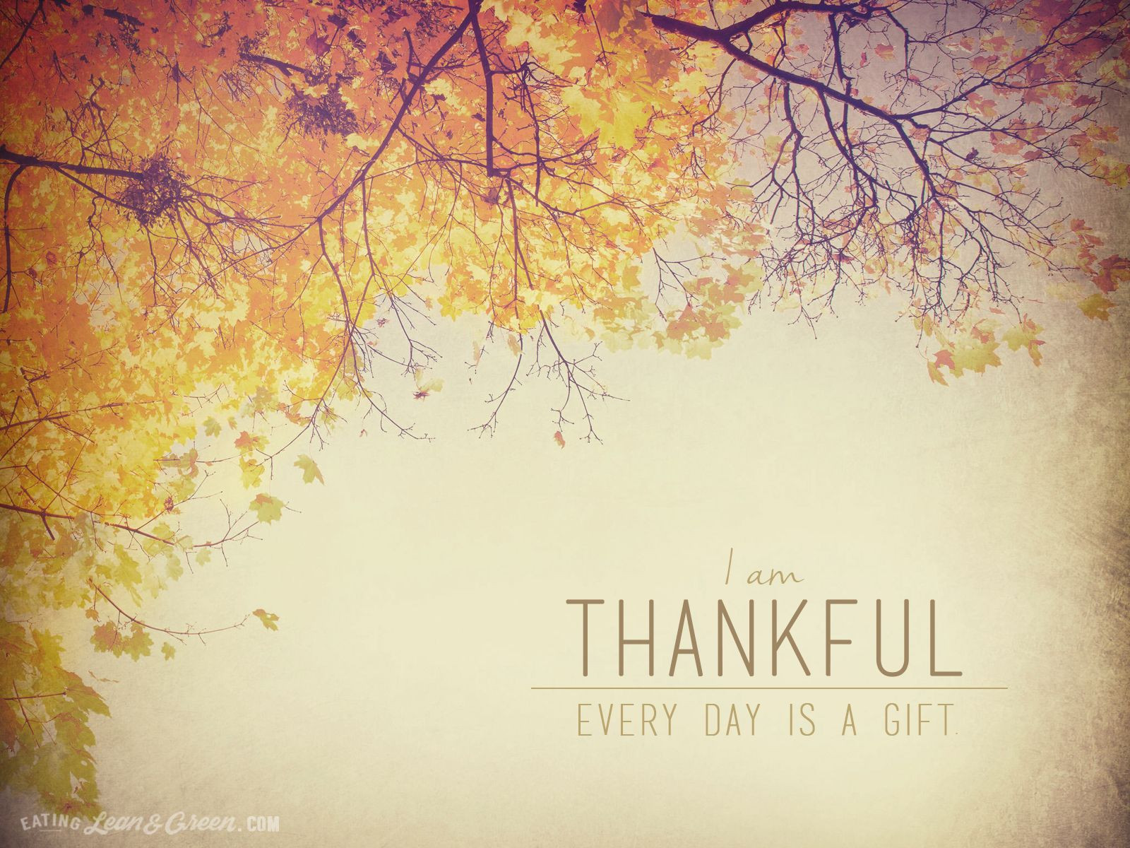 Thanksgiving Quotes Vsco
 "Thankful" Desktop Wallpaper Freebie
