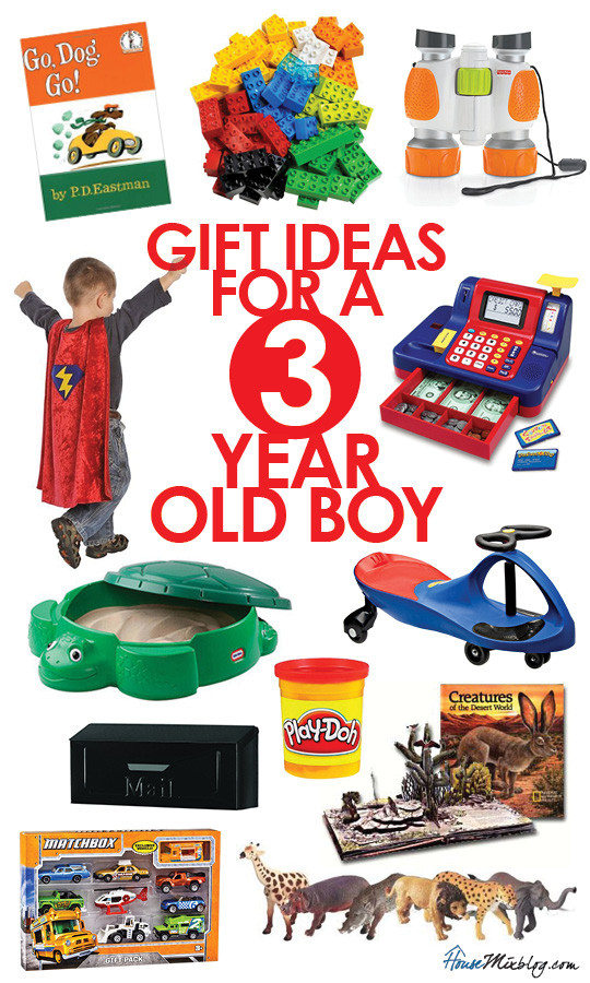 Toddler Boy Birthday Gift Ideas
 Toys for a 3 year old boy