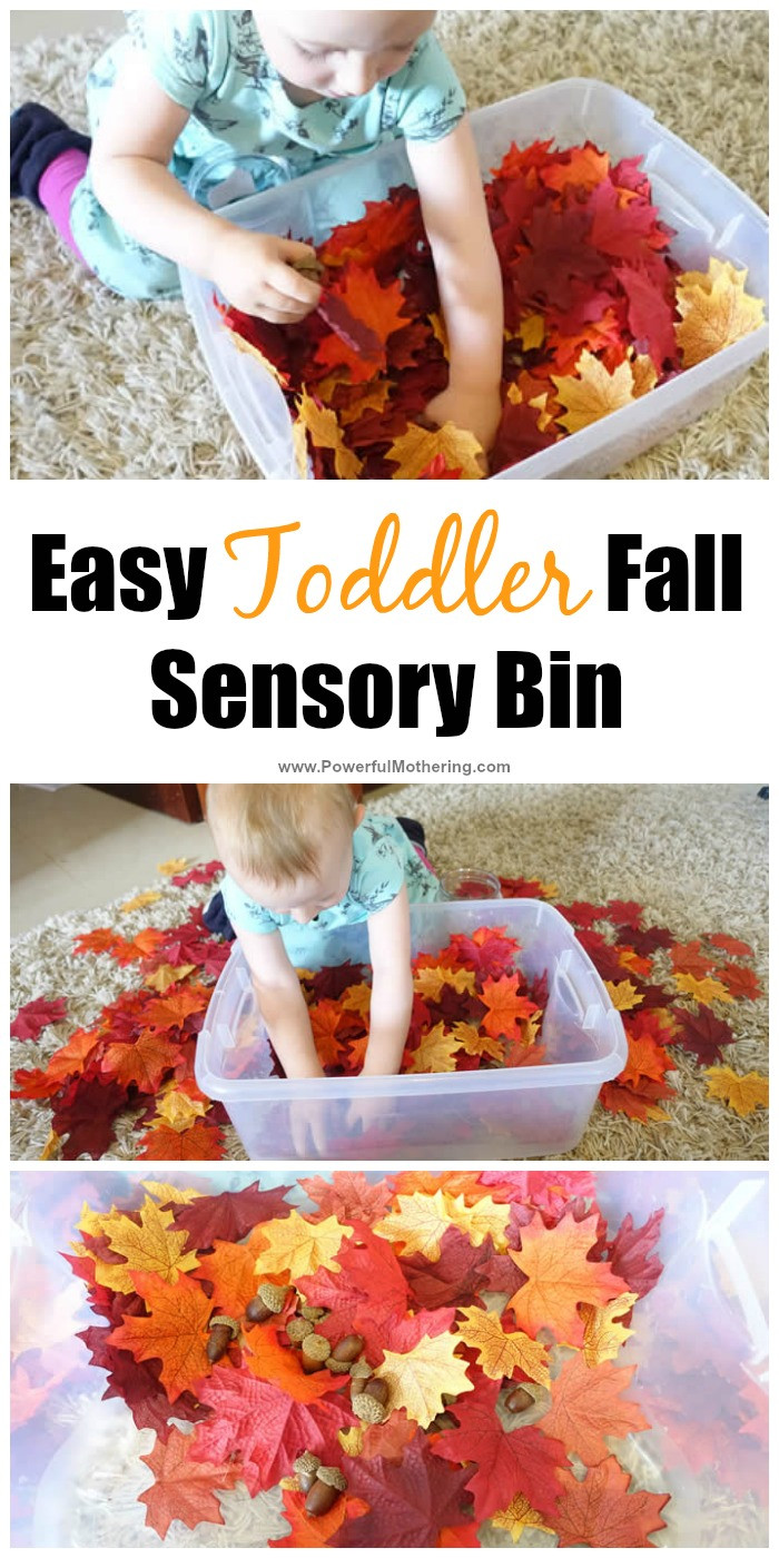 Toddler Craft Activities
 Easy Toddler Fall Sensory Bin Idea