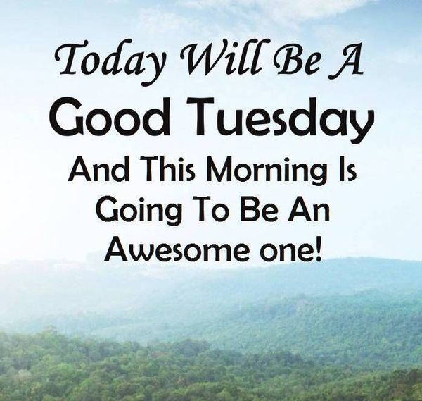 Tuesday Morning Inspirational Quotes
 Happy Tuesday Quotes and