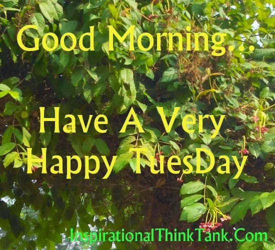 Tuesday Morning Inspirational Quotes
 Tuesday Morning Motivational Quotes Truth QuotesGram