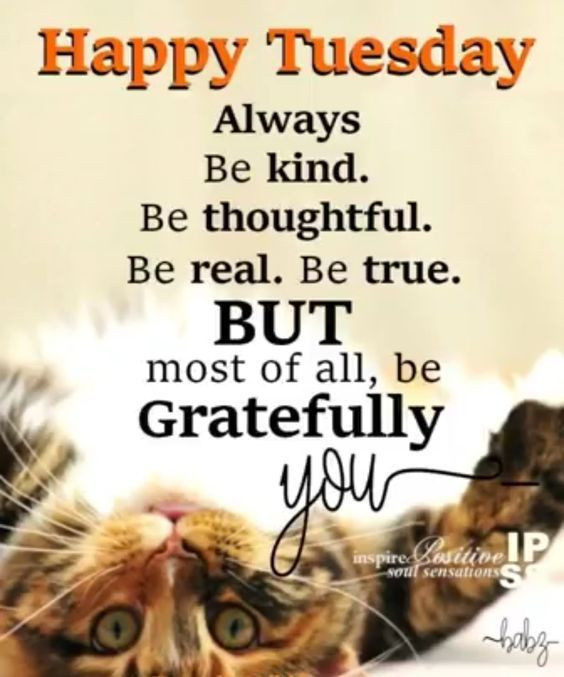 Tuesday Morning Inspirational Quotes
 Happy Tuesday Be Gratefully You s and