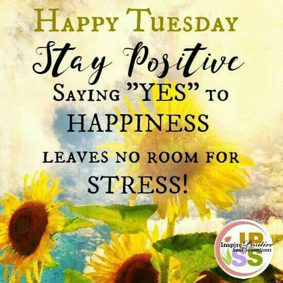 Tuesday Positive Quotes
 Happy Tuesday Stay Positive s and