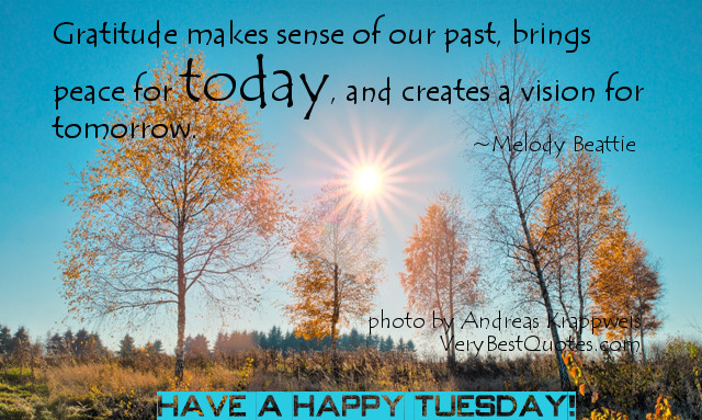 Tuesday Positive Quotes
 Happy Tuesday Inspirational Quotes QuotesGram