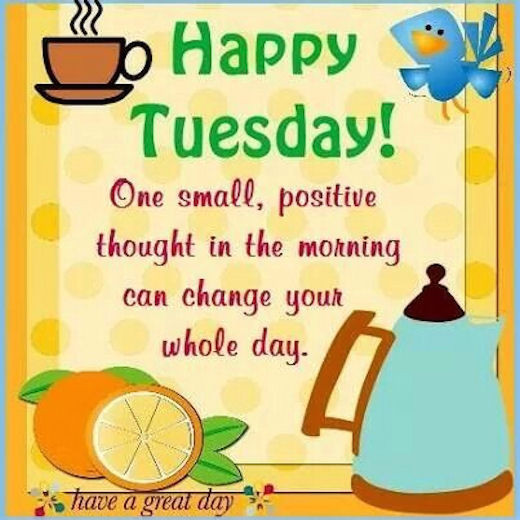 Tuesday Positive Quotes
 Positive Tuesday Quotes QuotesGram