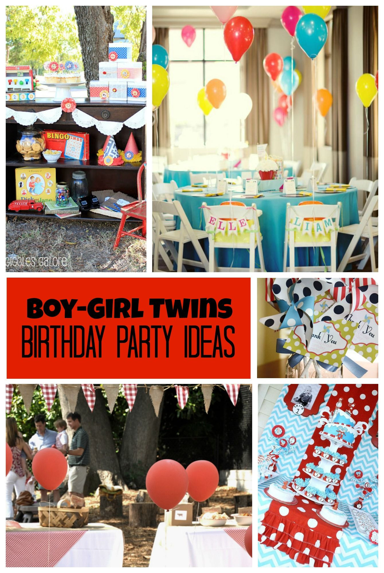 Twin First Birthday Party Ideas
 Birthday Party Ideas for Boy Girl Twins