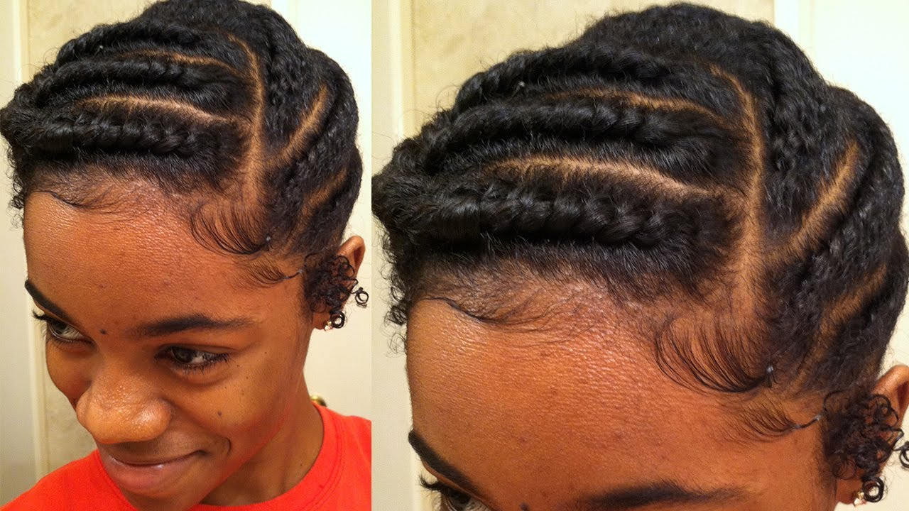 Twist Hairstyles For Natural Hair
 Flat Twist Protective Style