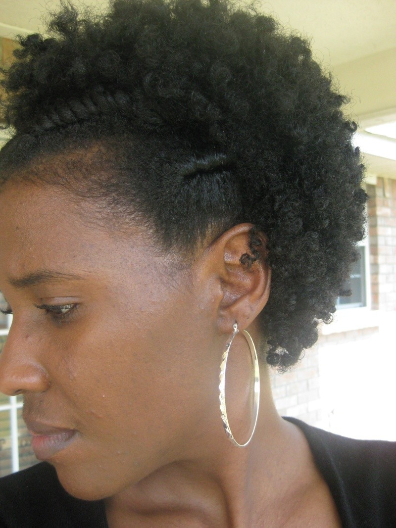 Twist Hairstyles For Natural Hair
 Flat Twist Curly Fro Natural Hair Style