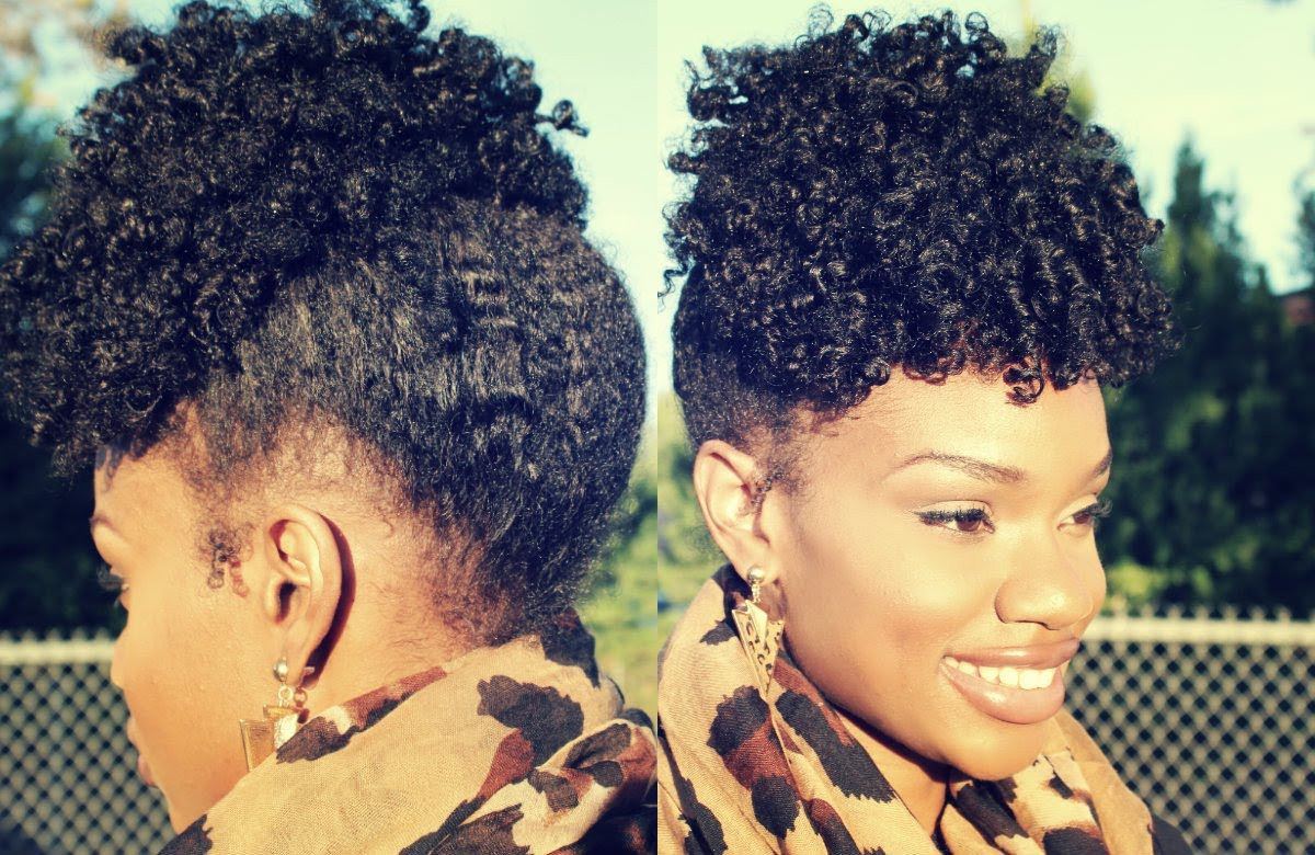 Twist Updo Hairstyles For Black Hair
 Easy Elegant Fall Twist Out Up Do Tutorial Natural Hair