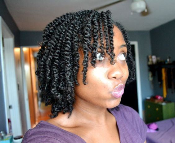 Twists Natural Hairstyles
 Love the length of this two strand twist style autiful