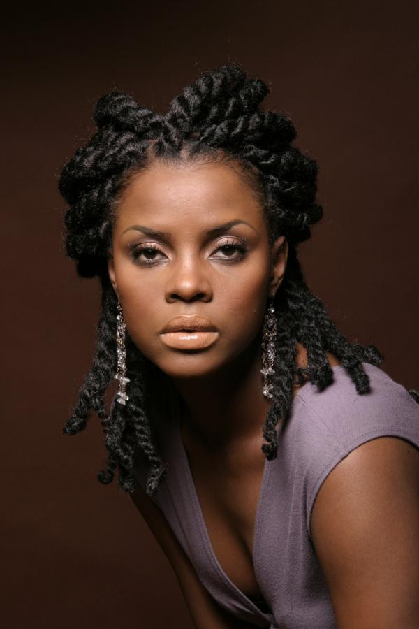 Twists Natural Hairstyles
 35 Great Natural Hairstyles For Black Women SloDive