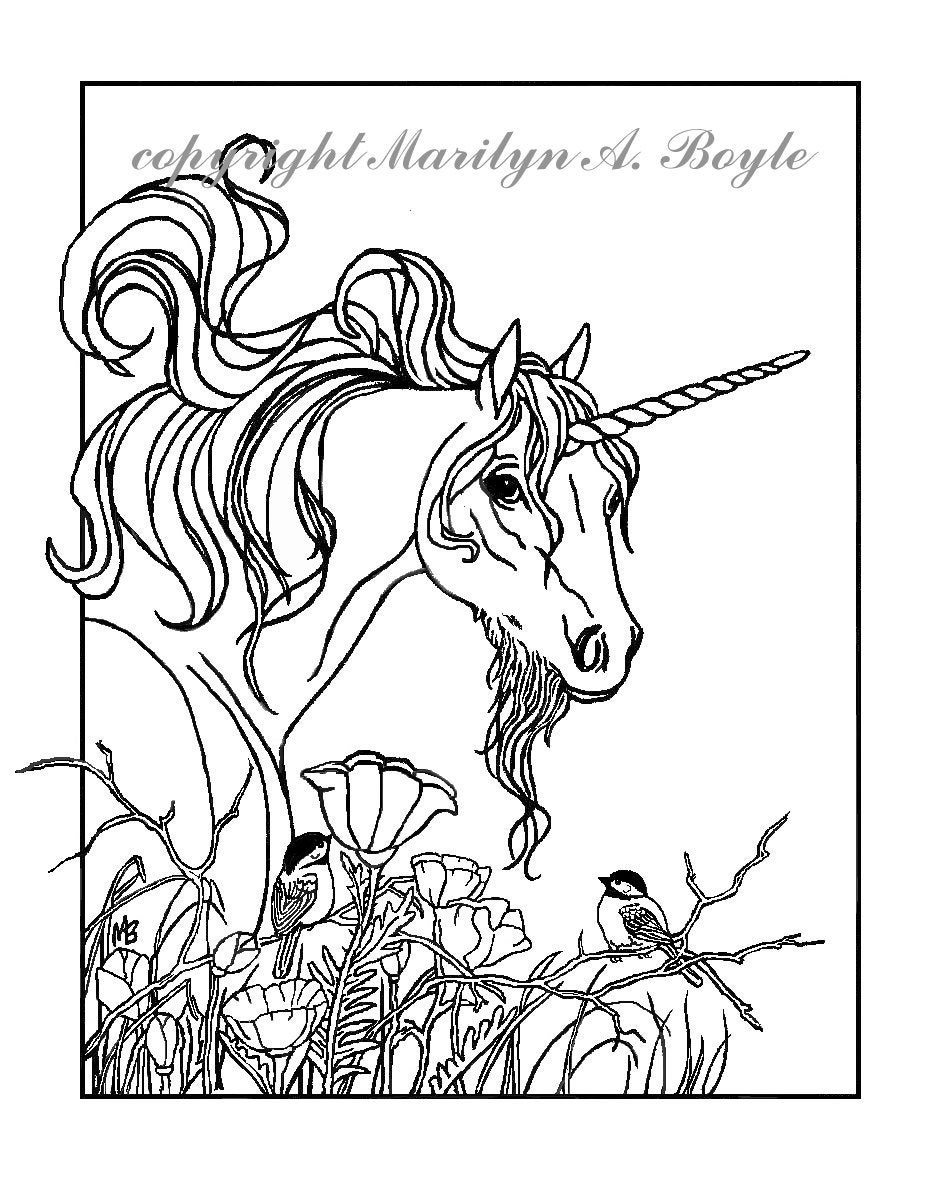 Unicorn Adult Coloring Book
 ADULT COLORING PAGE fantasy unicorn chickadees flowers
