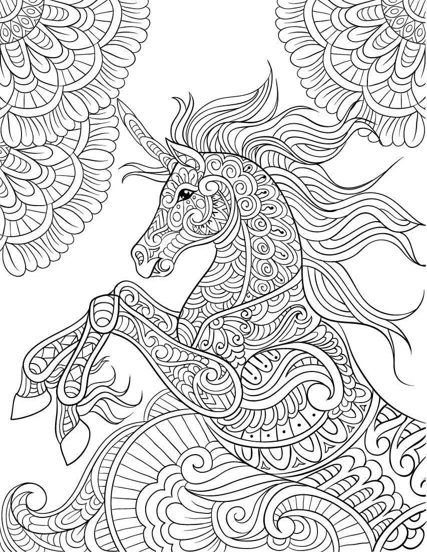 Unicorn Coloring Pages For Adults
 Amazon Unicorn Coloring Book Adult Coloring Gift A