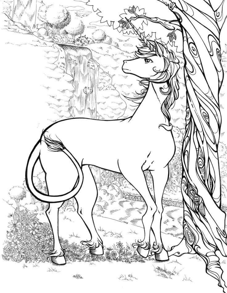 Unicorn Coloring Pages For Adults
 Realistic Unicorn Coloring Pages Coloring Home