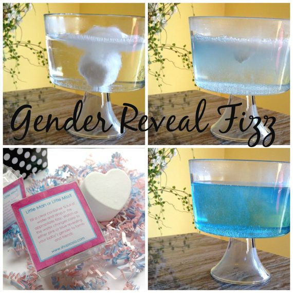 Unique Baby Gender Reveal Party Ideas
 Waddle it Be Gender Reveal Rubber Duck Fizz
