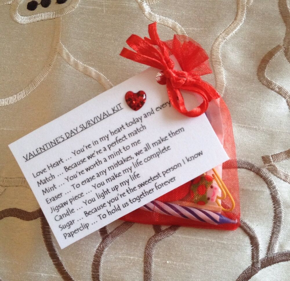 Valentine'S Day Gift Ideas For Fiance
 Valentines Day Survival Kit Gift For Boyfriend