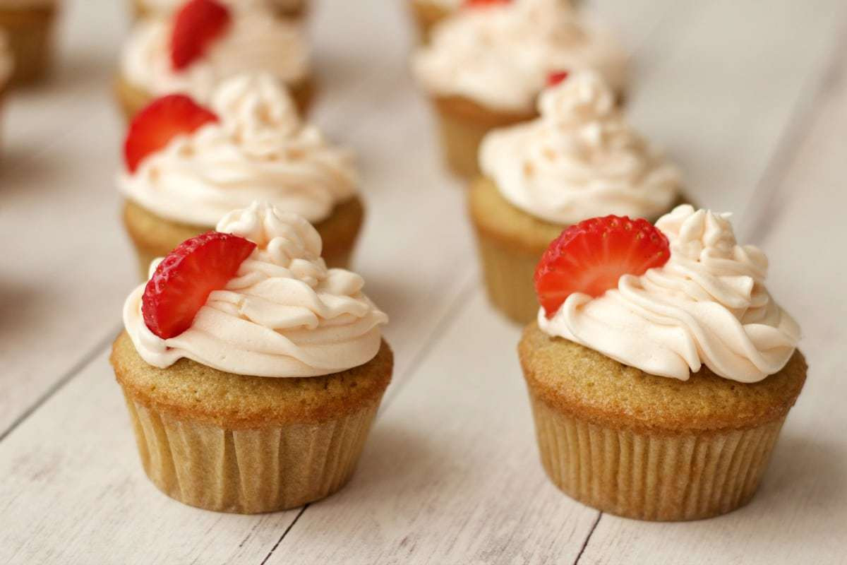 Vegan Recipes Cupcakes
 Vegan Vanilla Cupcakes with Strawberry Vanilla Frosting