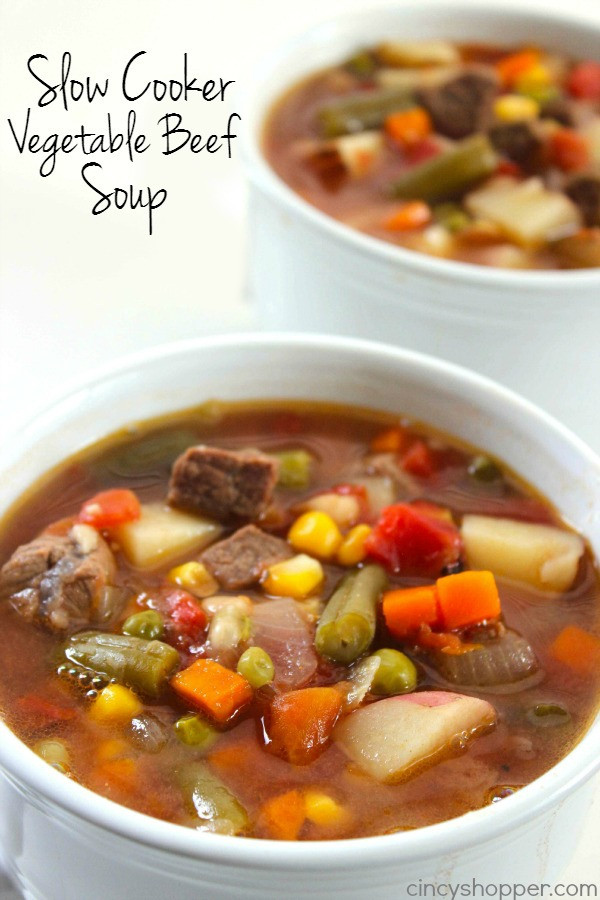 Vegetable Beef Stew Soup
 Crock Pot Recipes the Whole Family Will Love