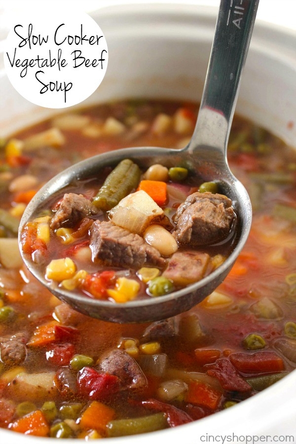 Vegetable Beef Stew Soup
 27 Delicious Winter Recipes to Warm your Soul