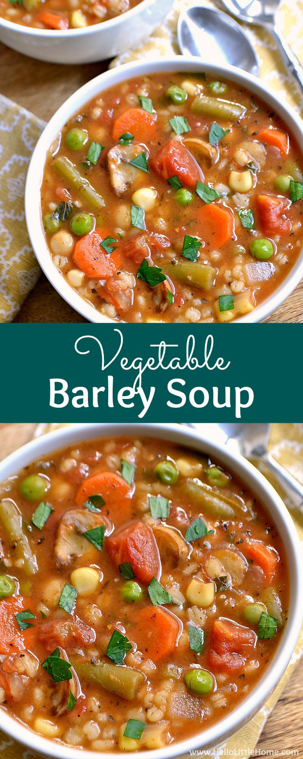 Vegetarian Barley Recipes
 Ve able Barley Soup