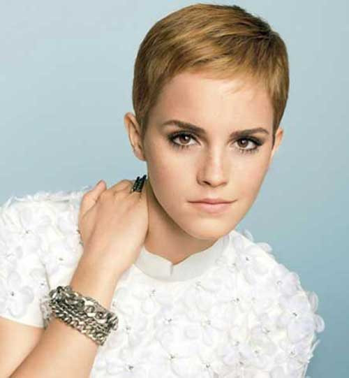 Very Short Hairstyles For Fine Hair
 Pixie Haircuts for Fine Hair