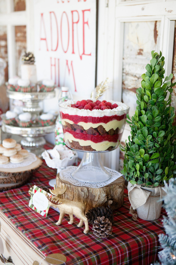 Vintage Christmas Party Ideas
 modern vintage Christmas themed party