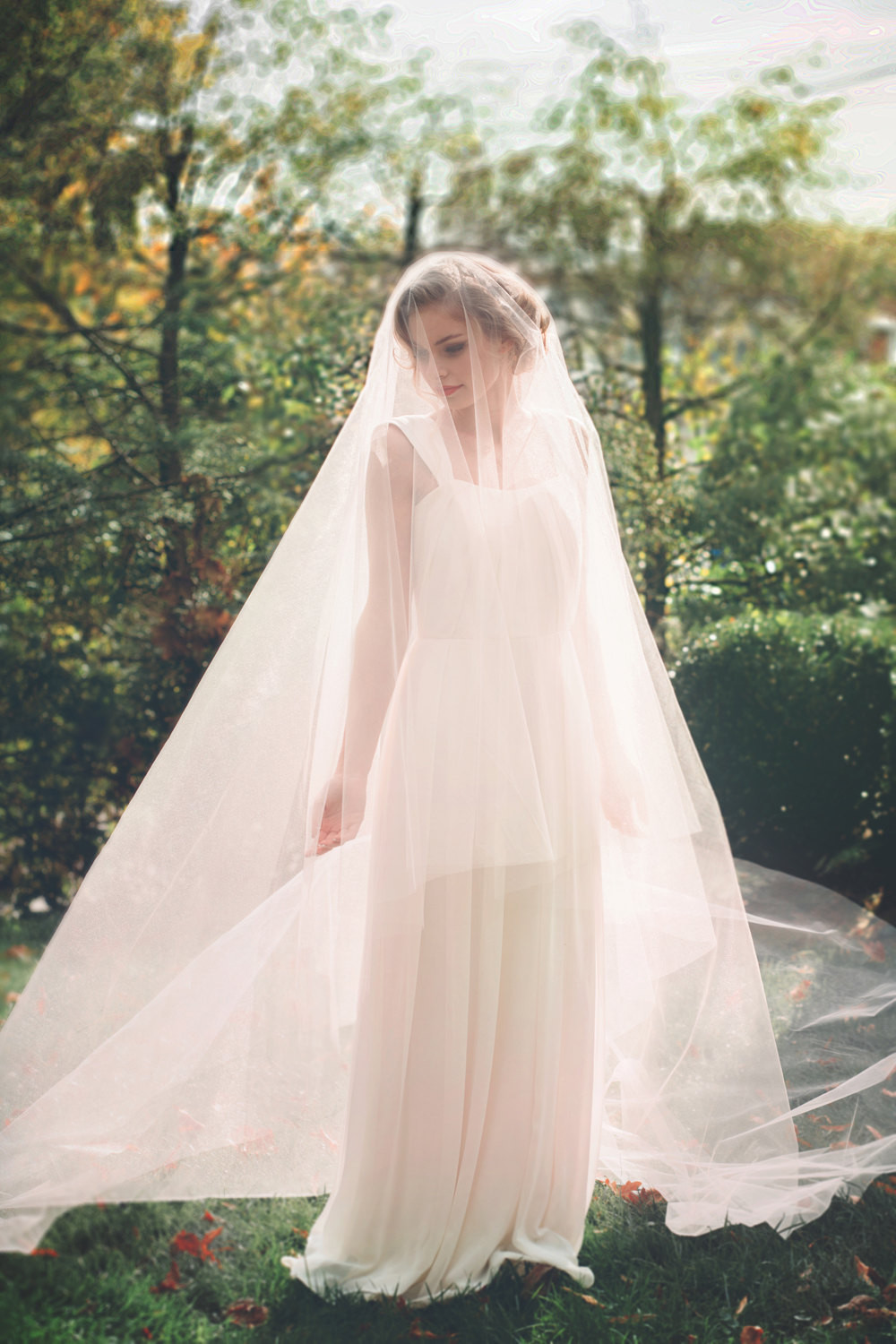 Wedding Dress And Veil
 Blush Pink Cathedral Wedding Veil Bridal Veil Drop Veil