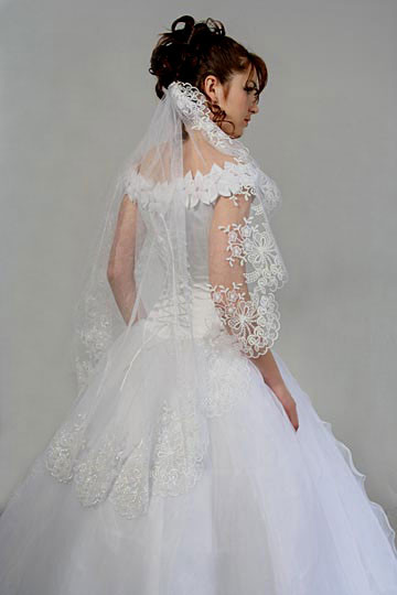 Wedding Dress And Veil
 Bridal Moves Unique Wedding Veils