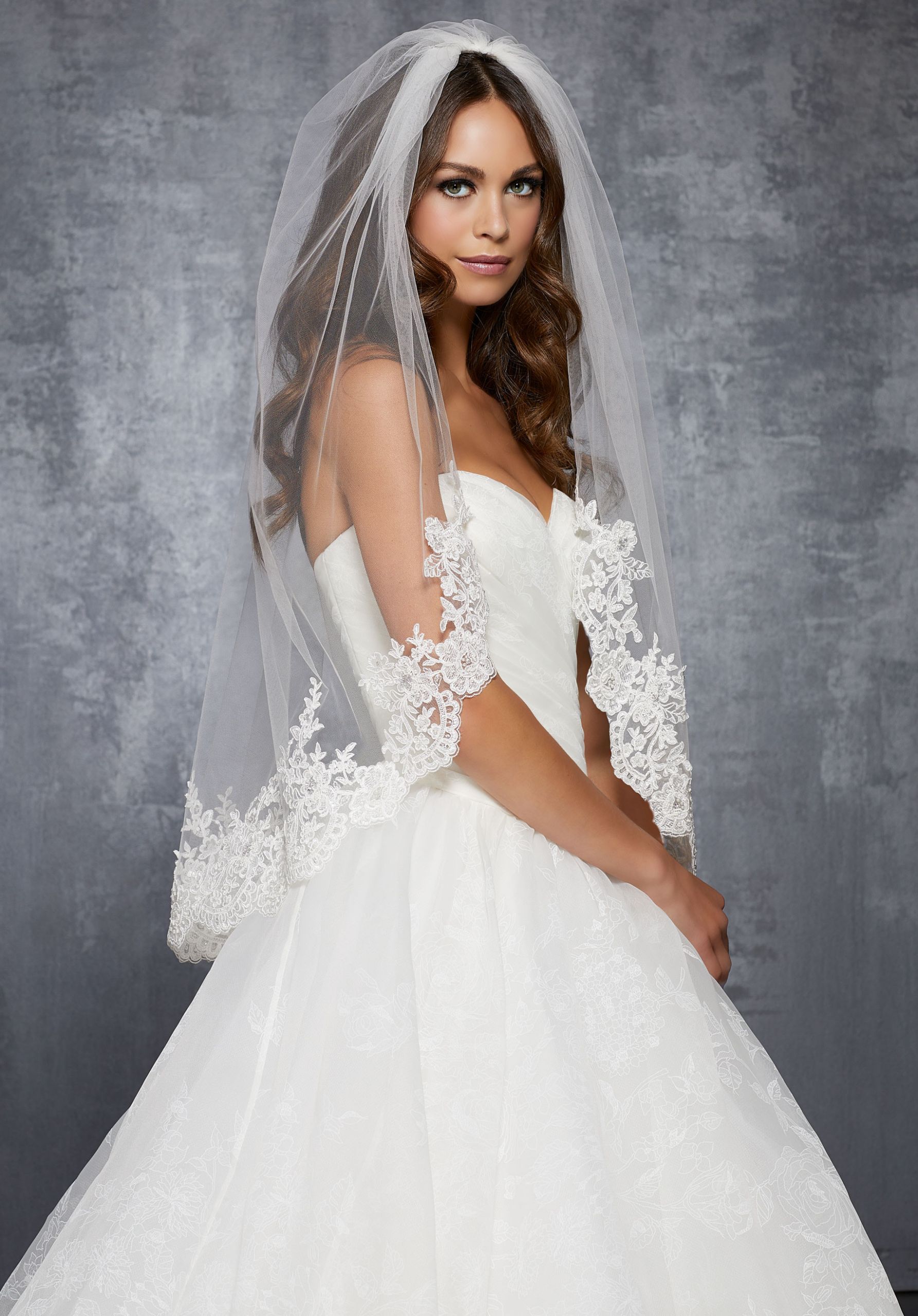 Wedding Dress And Veil
 Veil with Lace Beaded with Sequins and Rhinestones
