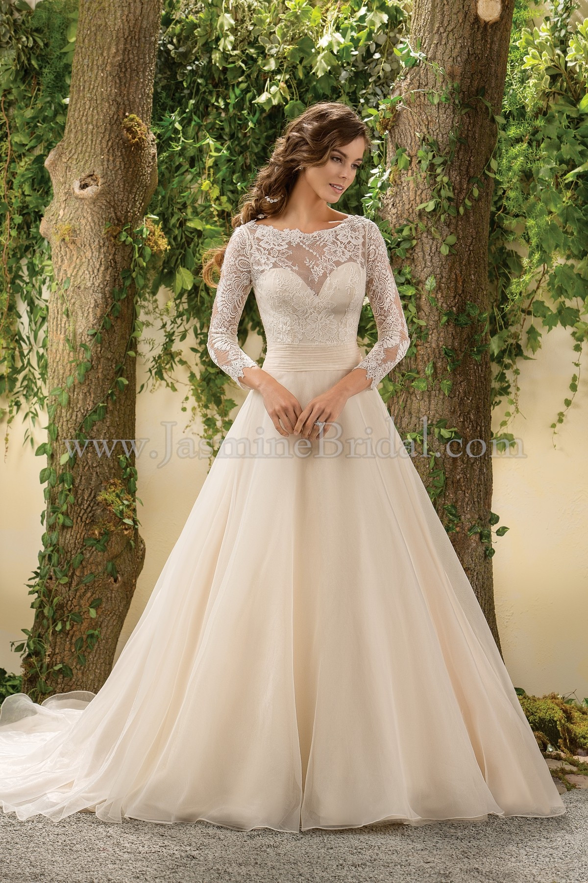 Wedding Dress With Lace Sleeves
 F Illusion Neckline Lace & Organza Wedding Dress