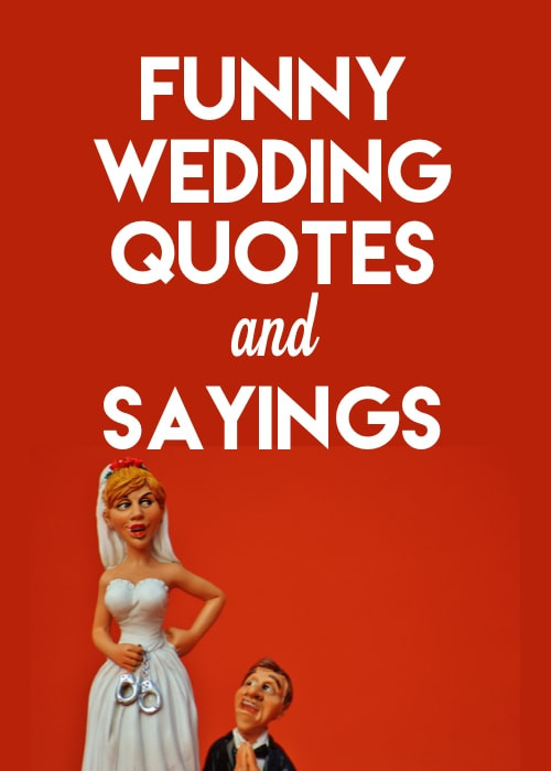 Wedding Funny Quote
 Funny Wedding Speeches Groom