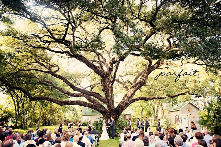 Wedding Venues In Spring Tx
 Oak Tree Manor Wedding Venue