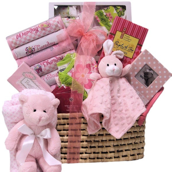 Welcome Baby Gift Ideas
 Shop Great Arrivals Wel e Home Baby Girl Gift Basket