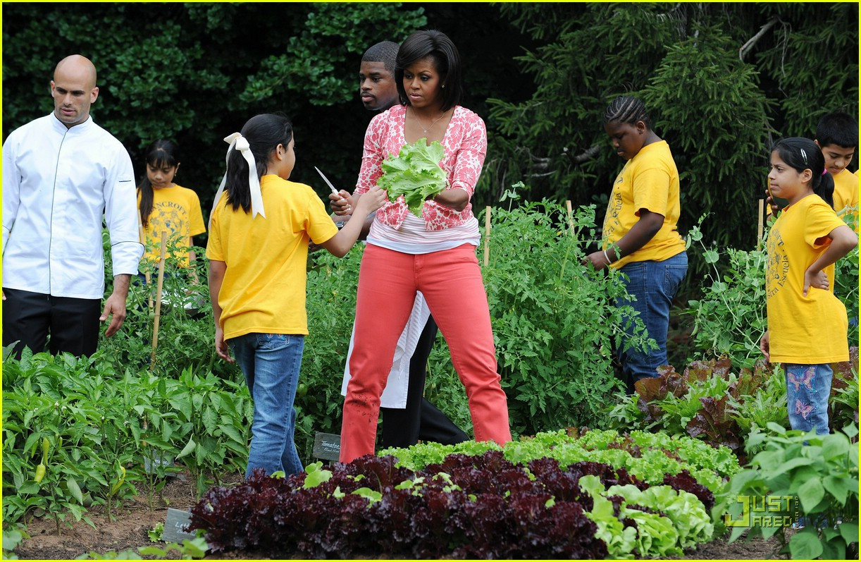 Whitehouse Kitchen Garden
 First Lady Michelle Obama To Harvest The White House