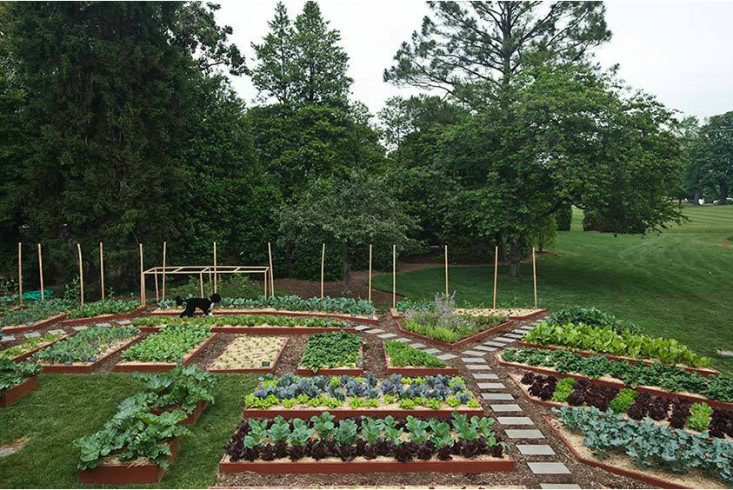 Whitehouse Kitchen Garden
 10 Garden Ideas to Steal from Michelle Obama Gardenista