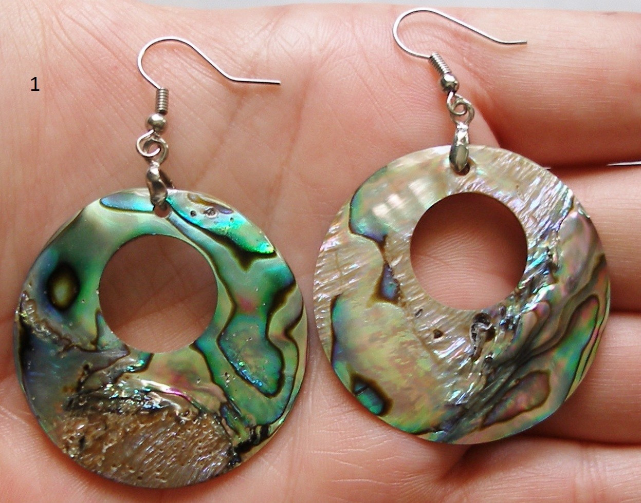 Abalone Shell Earrings
 Handmade Abalone Shell Earrings Colorful Iridescent Discs
