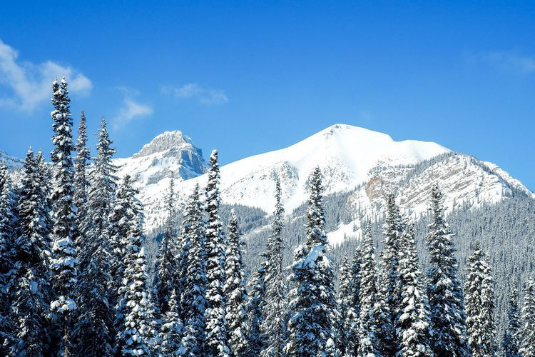 Banff Winter Activities
 Banff Winter Activities Itinerary of Things To Do in