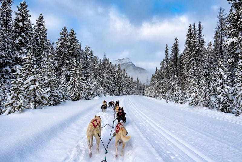 Banff Winter Activities
 Things to do in Banff 10 of the Most Unfor table