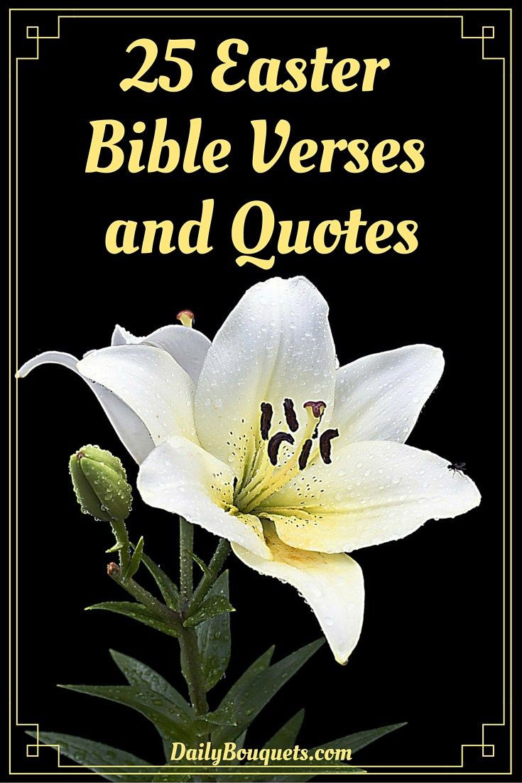 Biblical Easter Quotes
 25 Easter Bible Verses and Quotes
