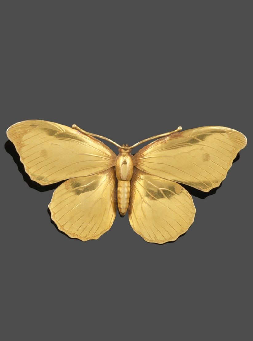 Brooches Aesthetic
 An Aesthetic movement gold butterfly brooch realistically